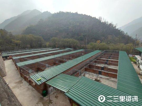 农村致富经养林麝_农村致富技术_致富经林麝养殖视频