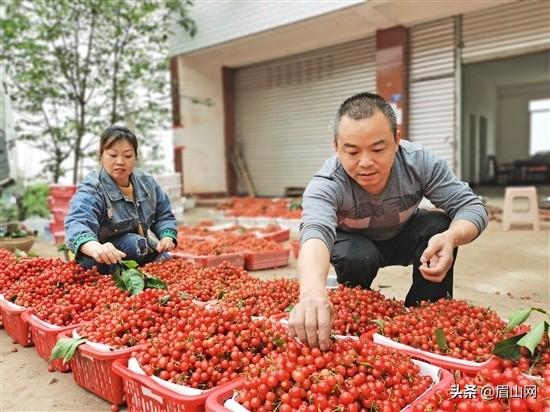 致富俺们村_致富经栏目电话号码_仁寿县致富经播放