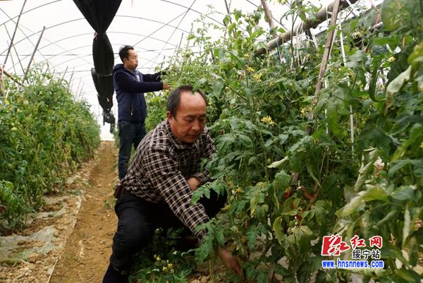 柳根鱼养殖技术_养殖柳根鱼技术要点_养殖柳根鱼需要什么条件