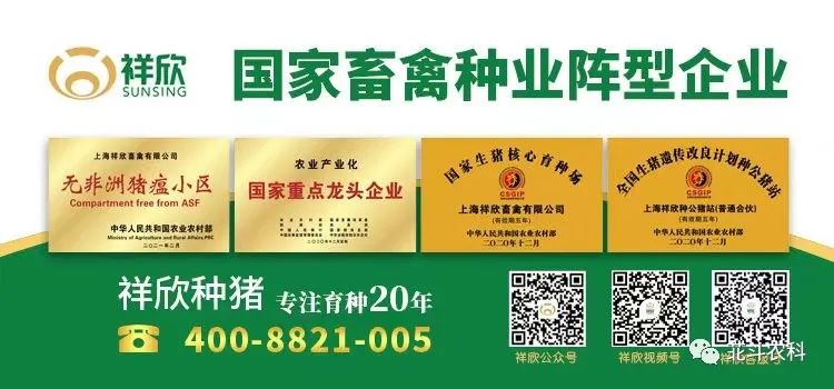 视频养殖猪技术杜洛克教程_杜洛克猪种_杜洛克猪养殖技术视频