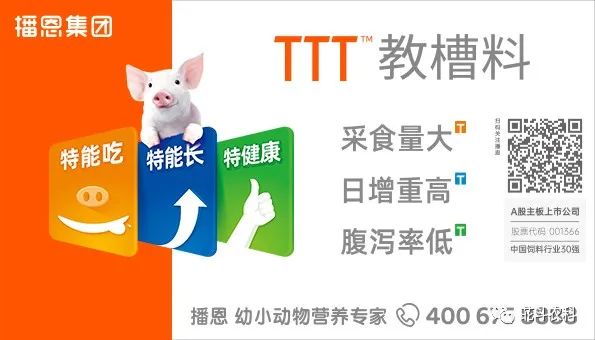 视频养殖猪技术杜洛克教程_杜洛克猪种_杜洛克猪养殖技术视频