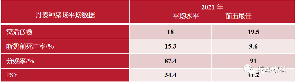 杜洛克猪养殖技术视频_视频养殖猪技术杜洛克教程_杜洛克猪种