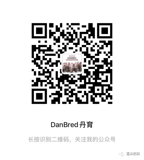 杜洛克猪种_杜洛克猪养殖技术视频_视频养殖猪技术杜洛克教程
