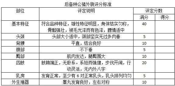 视频养殖猪技术杜洛克教程_杜洛克猪养殖技术视频_杜洛克种猪视频