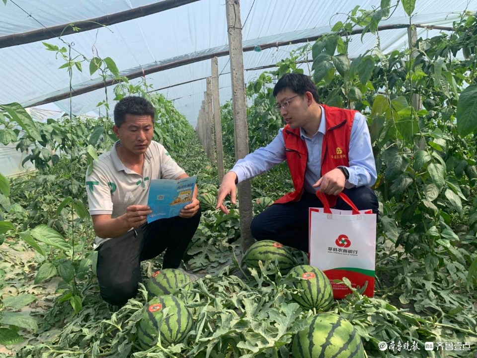 西瓜种植利润如何_西瓜种植带动致富_致富经西瓜种植能人