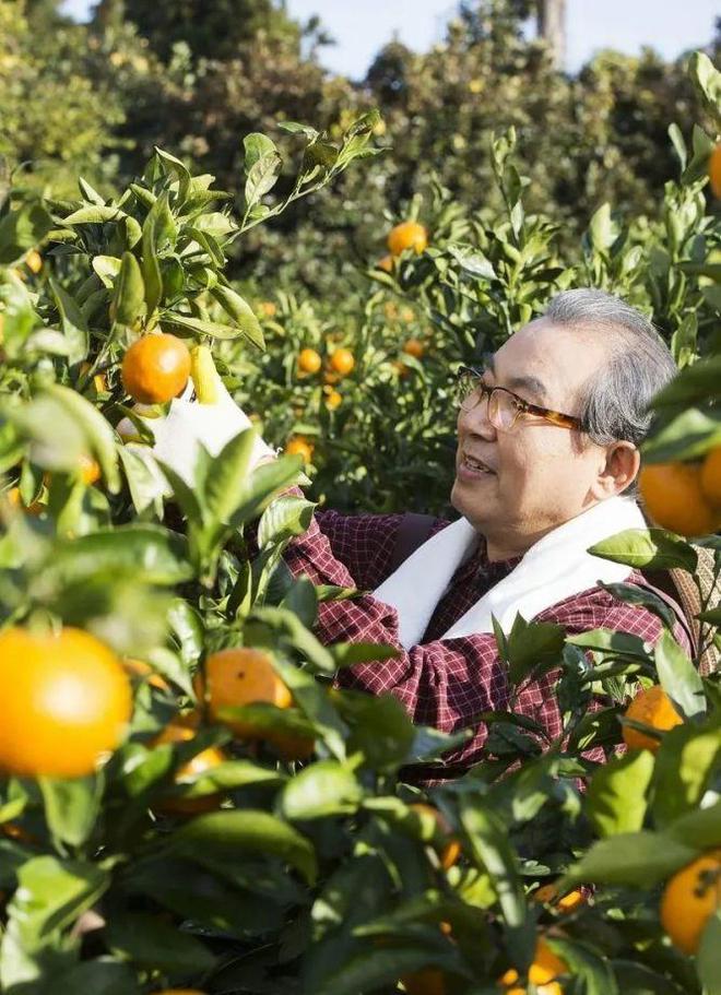 致富种植绿植_致富种植什么比较赚大钱_种植致富业