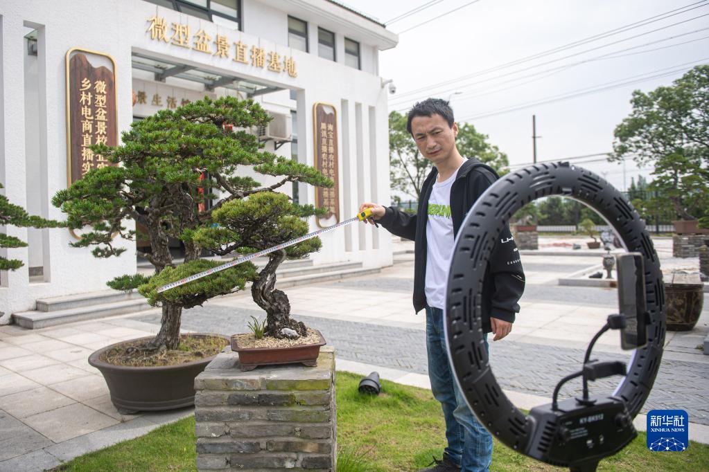 种植致富业_致富种植绿植视频_致富种植绿植