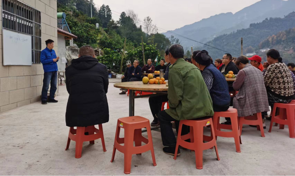 黄金果种植致富_致富种植果黄金多少一斤_致富种植果黄金怎么样