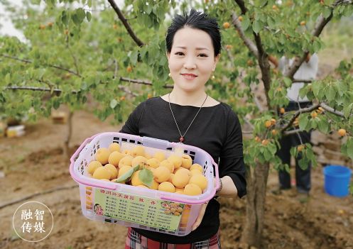 许昌种菜_许昌种植致富果_许昌果树苗木基地