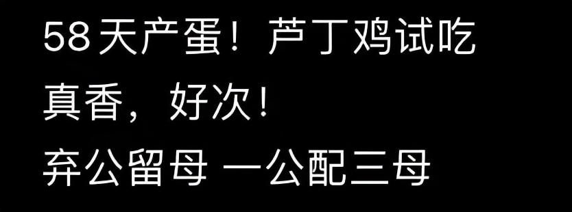 桂花雀养殖技术要视频_养桂花雀真的能赚钱吗_最新桂花雀鸟养殖视频