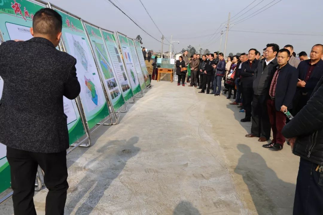 大鲫鱼养殖_巨鲫鱼的养殖视频_先科巨鲫养殖技术