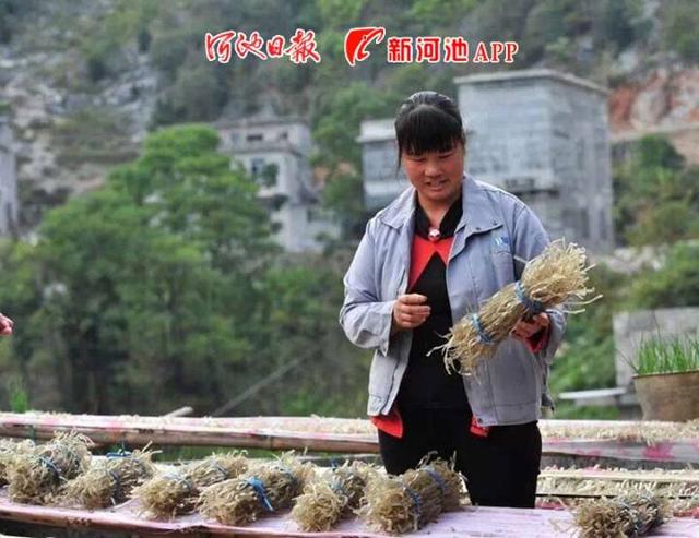 石头地种植_石头怎么种植致富_致富石头种植图片