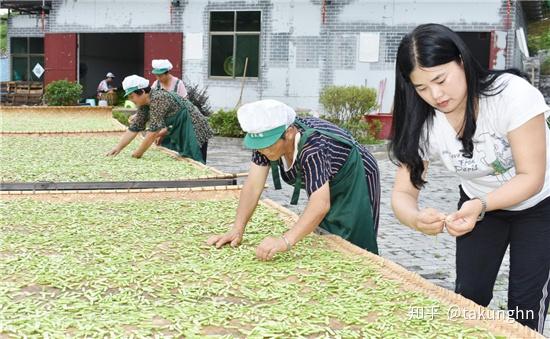 湖南种火龙果怎么样_湖南火龙果种植基地_湖南农村火龙果种植致富