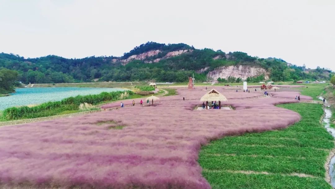 致富石头种植图片_石头怎么种植致富_石头地种植