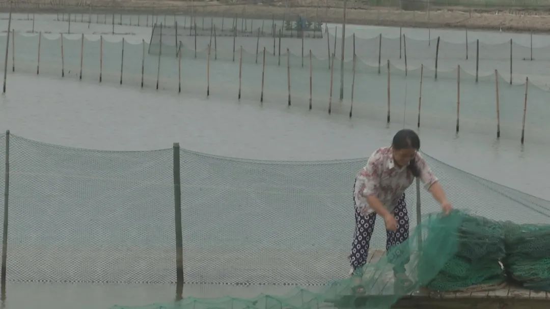 石头怎么种植致富_致富石头种植图片_石头地种植