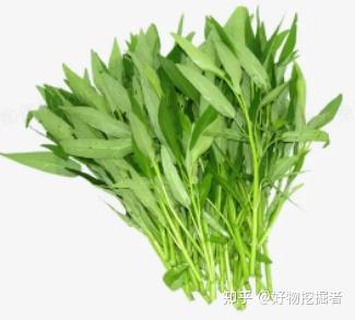 大白菜室内种植_小白菜室内种植技术_白菜室内种植技术小结