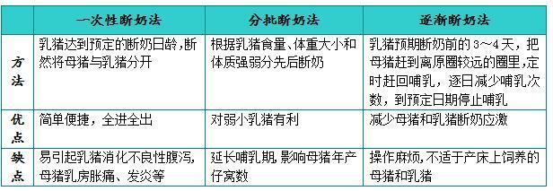 小猪的养殖视频教程_小猪养殖技术视频_小猪养殖技术视频全集