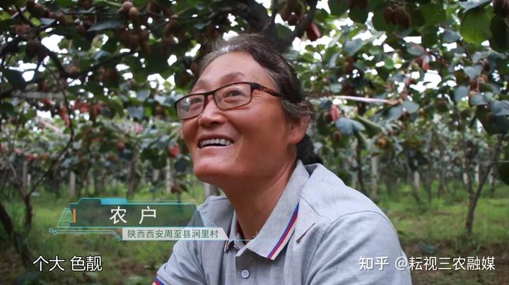 狲猴桃种植技术_猘猴桃种植技术_种植技术猴桃猘子怎么种