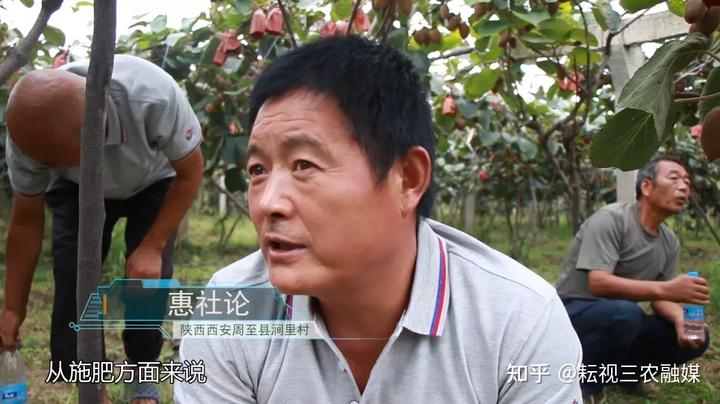 狲猴桃种植技术_猘猴桃种植技术_种植技术猴桃猘子怎么种