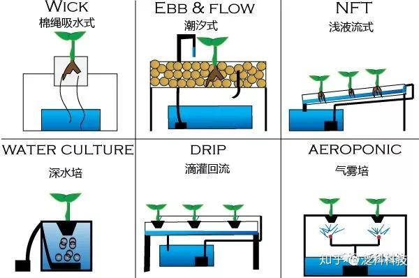 灵石种植致富项目_致富种植灵石项目怎么样_灵石县致富煤矿地址