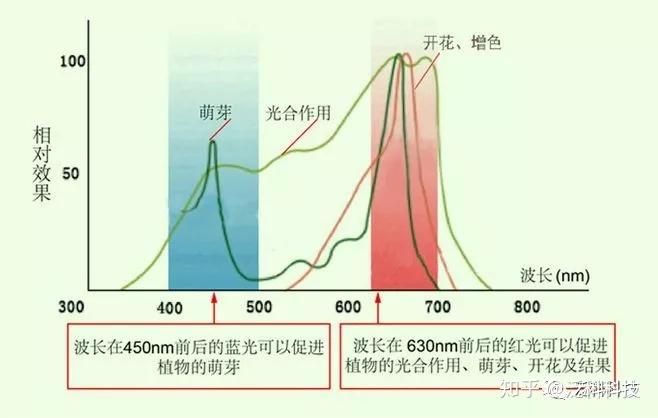 灵石种植致富项目_灵石县致富煤矿地址_致富种植灵石项目怎么样