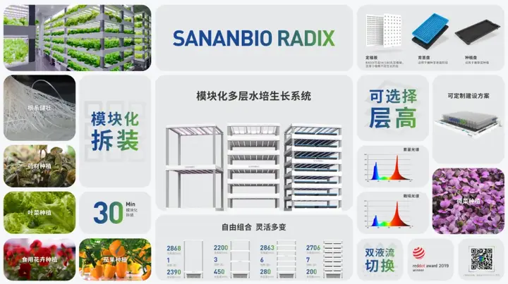 种彩椒赚钱吗_视频种植技术彩椒怎么做_彩椒种植技术视频