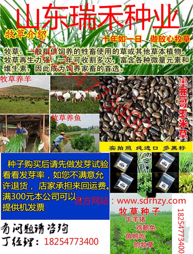 一个东北农民的种植转型记_东北农村致富项目种植_东北农民种植致富