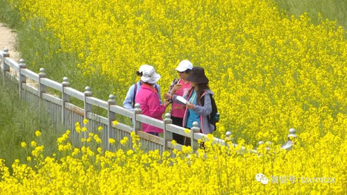 曹吉平：“乡村游”圆了致富梦