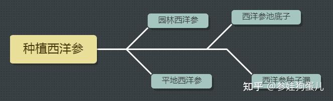 人参种子怎么种植什么季节_人参籽几月份种植技术_人参籽的种植技术