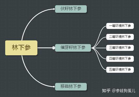 人参籽的种植技术_人参种子怎么种植什么季节_人参籽几月份种植技术