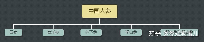 人参籽的种植技术_人参籽几月份种植技术_人参种子怎么种植什么季节