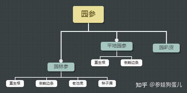 人参籽的种植技术_人参种子怎么种植什么季节_人参籽几月份种植技术