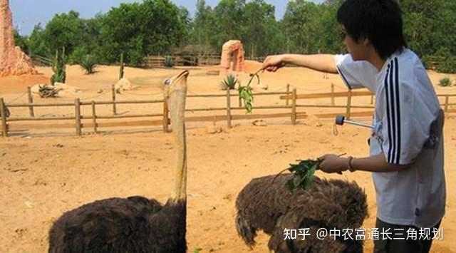 借鉴优质规划经验_借鉴优质规划经验怎么写_突出规划引领作用