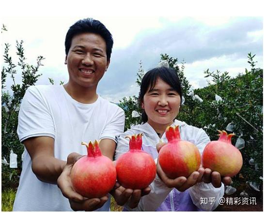 农民致富种植项目_靠种植致富的农民_农民靠种植致富