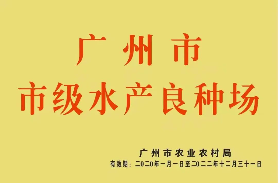 泰国笋壳鱼养殖新技术_泰国笋壳鱼营养价值_泰国笋壳鱼图片