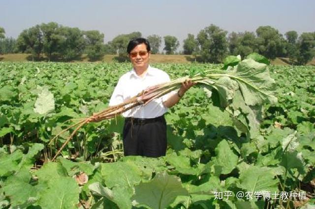 农民靠种植致富_致富种植农民靠什么发展_靠种植致富的农民