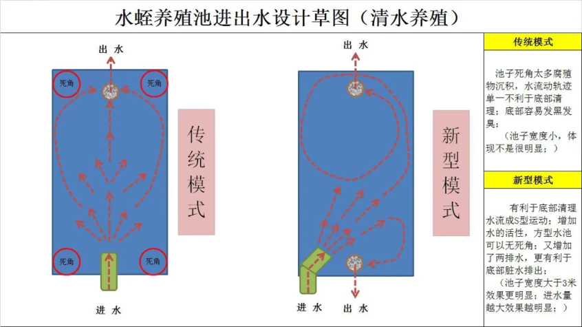 水蛭养殖技术与销路_养殖销路水蛭技术规范_水蛭养殖前景和销路