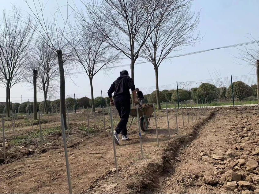 水蛭养殖技术与销路_水蛭养殖前景和销路_养殖销路水蛭技术规范