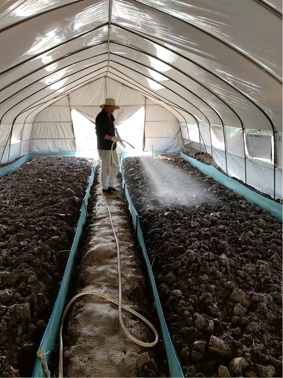 水蛭养殖前景和销路_水蛭养殖技术与销路_养殖销路水蛭技术规范