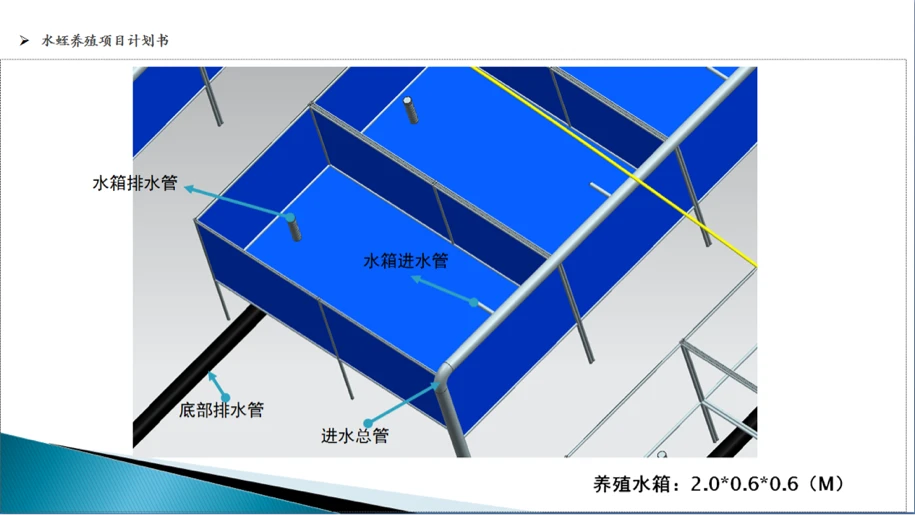 水蛭养殖前景和销路_水蛭养殖技术与销路_养殖销路水蛭技术规范