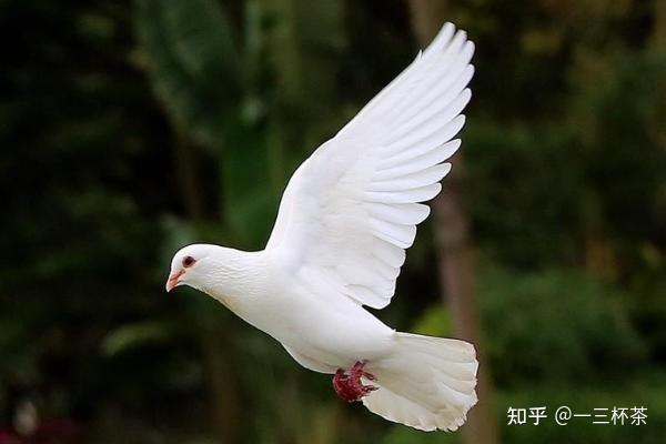 泥鳅养殖户抱团致富_养殖泥鳅的利润如何_养殖泥鳅 增收致富