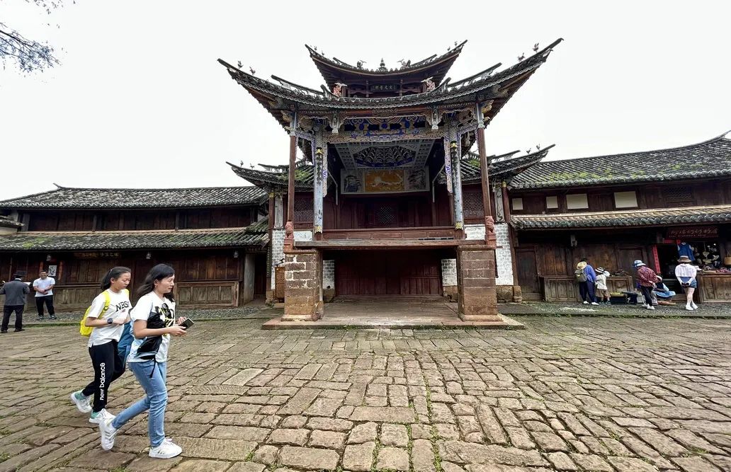 地参种植前景_种植地参的效益市场_致富经地参种植