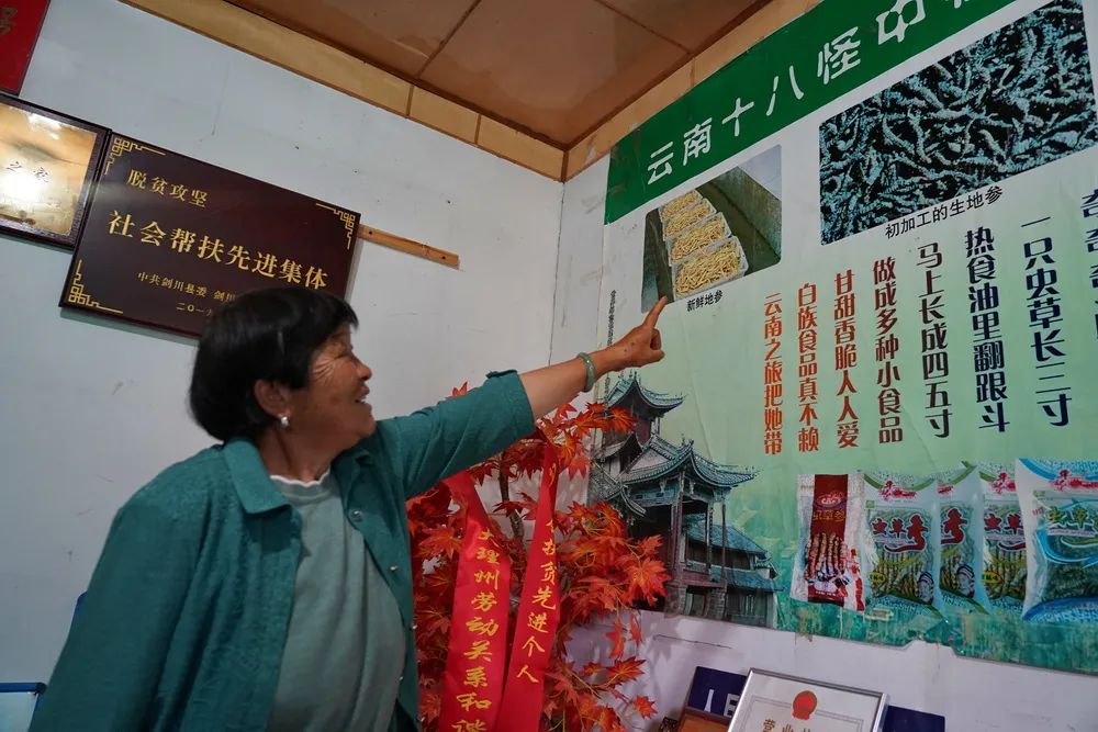 地参种植前景_致富经地参种植_种植地参的效益市场