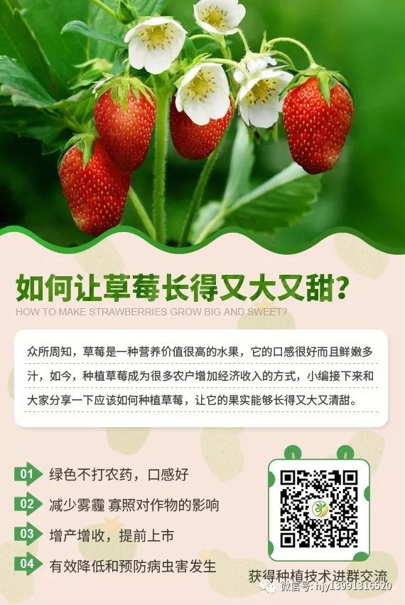 室内种植业致富项目_室内种植什么致富_室内种植创业