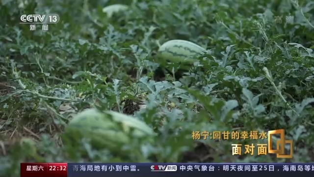 三农致富经种植项目_三农致富网种植致富项目_致富三农种植网项目怎么样