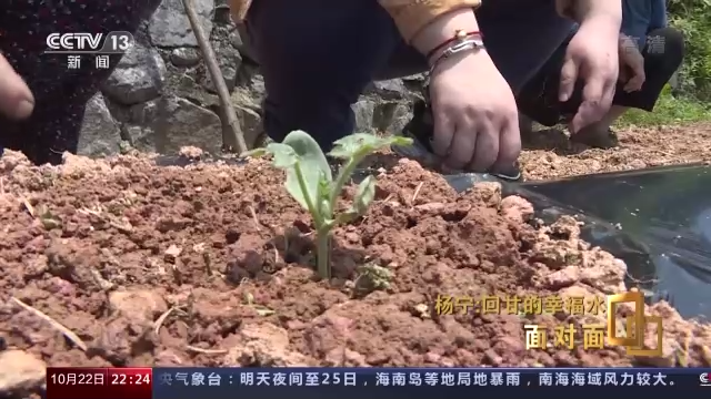 三农致富网种植致富项目_三农致富经种植项目_致富三农种植网项目怎么样