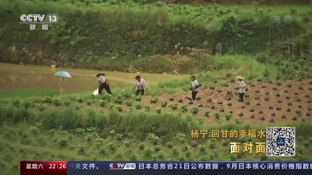 致富三农种植网项目怎么样_三农致富经种植项目_三农致富网种植致富项目