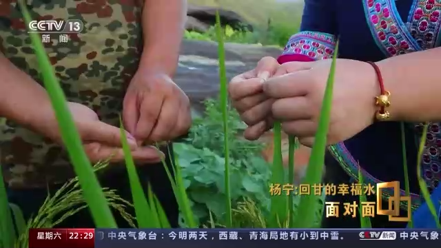 致富三农种植网项目怎么样_三农致富经种植项目_三农致富网种植致富项目