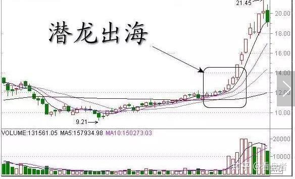 麻雀养殖致富渠道_麻雀养殖致富渠道_麻雀养殖致富渠道