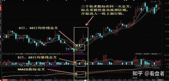 麻雀养殖致富渠道_麻雀养殖致富渠道_麻雀养殖致富渠道